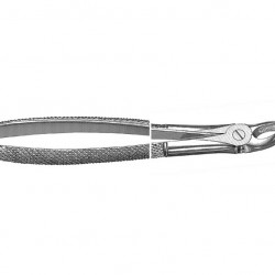 English Pattern Extraction Forcep upper molar right
