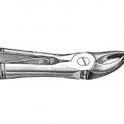 Klein Extraction Forcep