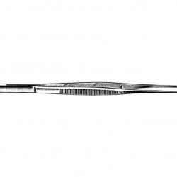 Taylor Tissue Forcep