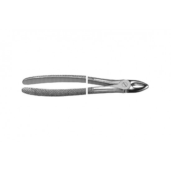 English Pattern Extraction Forcep upper laterals and bucuspids