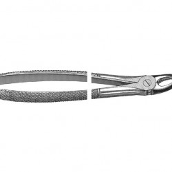 English Pattern Extraction Forcep upper bicuspids, either side
