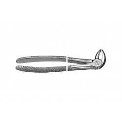 English Pattern Extraction Forcep lower bicuspids, either side