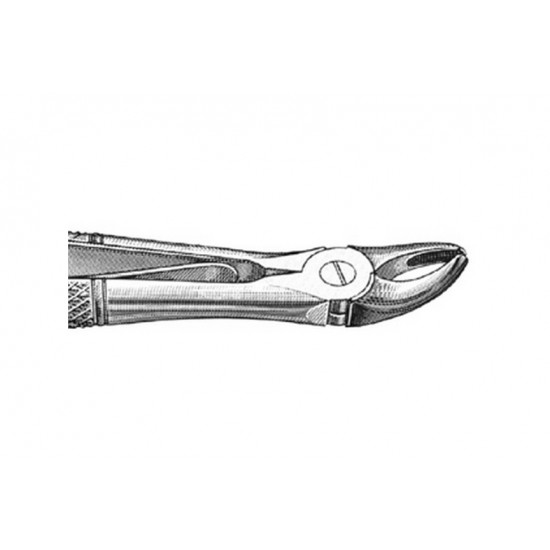 Klein Extraction Forcep